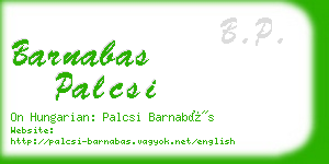 barnabas palcsi business card